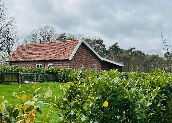 B&B Hoeve Fraai Achterhoek Aalten