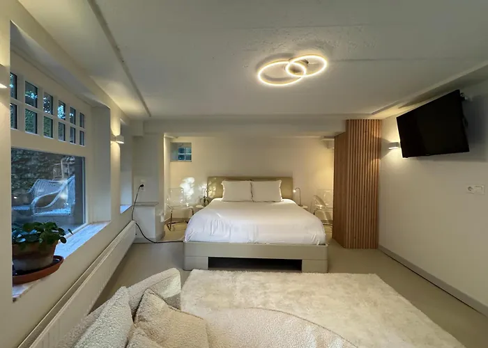B&B Villa Frisia Steenwijk