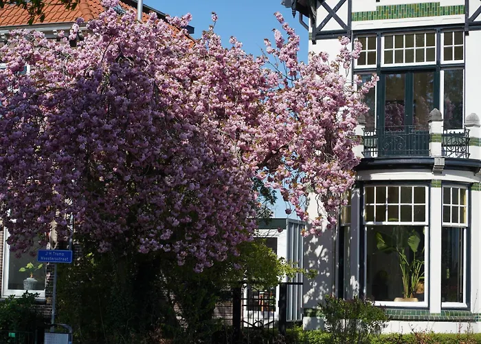 B&B Villa Frisia Steenwijk