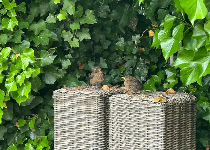 Bed&breakfast Yerseke