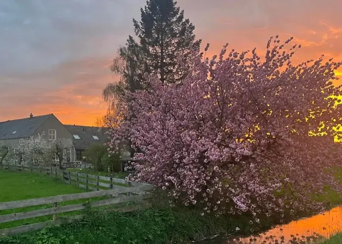 Bed&Brood De Vogelpoel Bed and Breakfast Wijk bij Duurstede