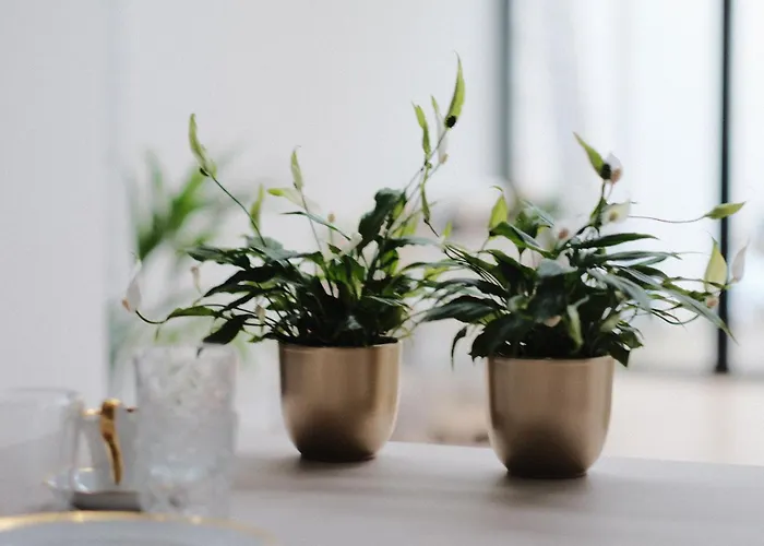 B&B Les Invites Brugge