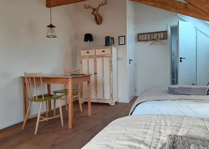 sport B&B De Veluwezoom Velp 