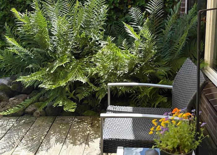 Bed&Breakfast 28 appartement met ruime tuin Assen