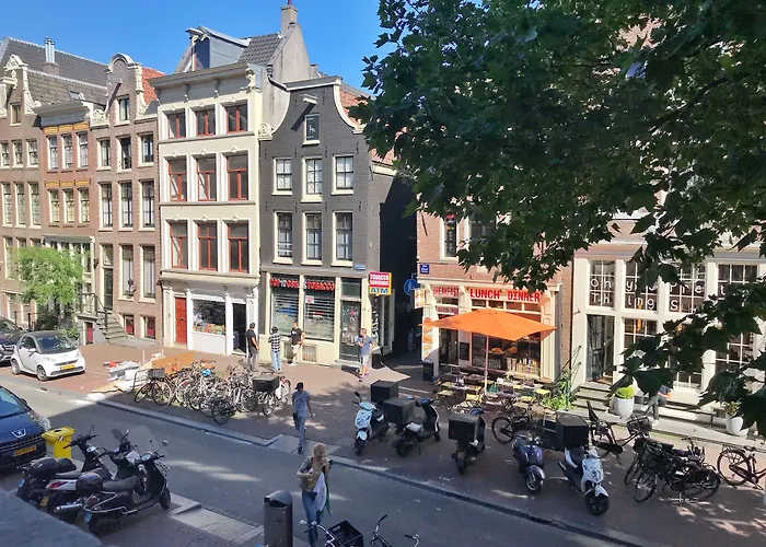 Sunflower Amsterdam