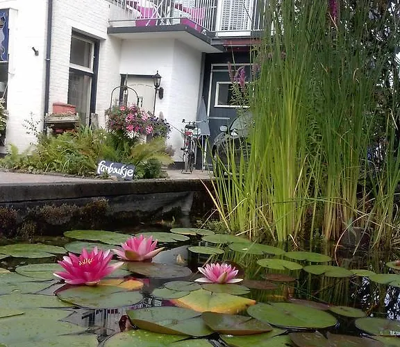 B&B Byboukje Earnewâld