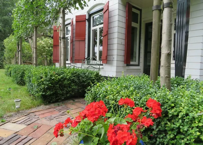 B&B Singelstate Gorredijk
