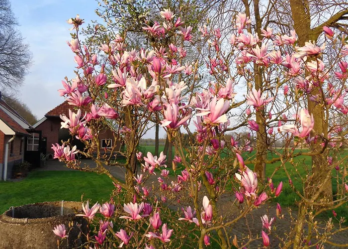 Bed en BreakfastThil'S Bed And Breakfast